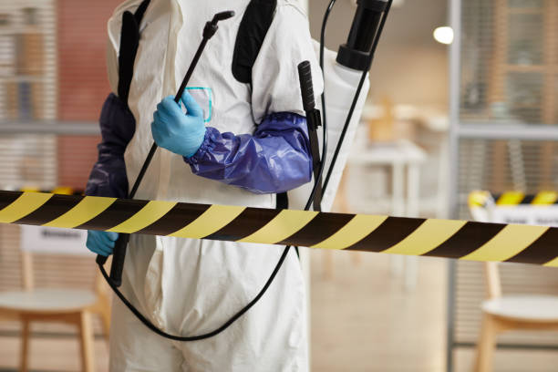 Professional Sewage Cleanup technician working in Alvo, NE